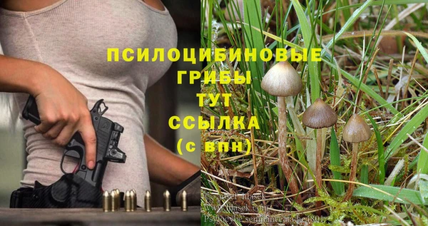 мдпв Балабаново