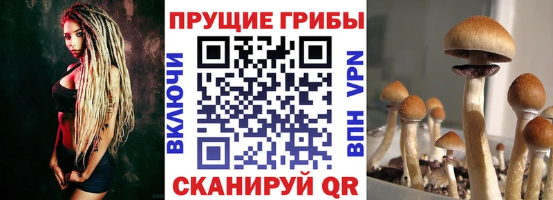 KRAKEN tor  Бокситогорск  Галлюциногенные грибы мухоморы 